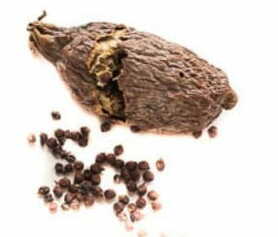 Dried Alligator Pepper
