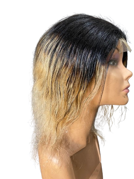 100% Human Hair Wig