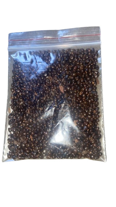 Orima Seeds, Ataiko Seed Purelyagro - Orioma Banga Spice 25g