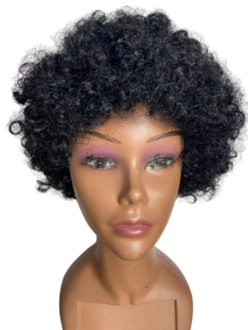 Afro Short Synthetic Wig