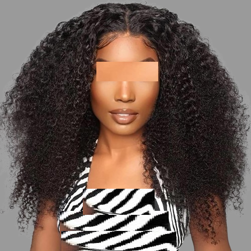 Afro Kinky Curly Synthetic Hair