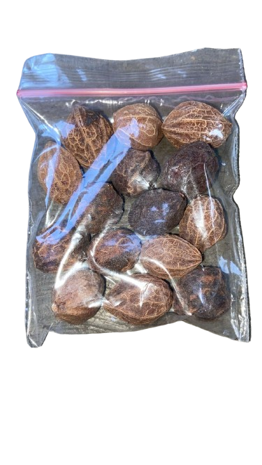 Umilo/Emilo/Omilo Cocoplum Seed, Paradise Plum Seed 25g