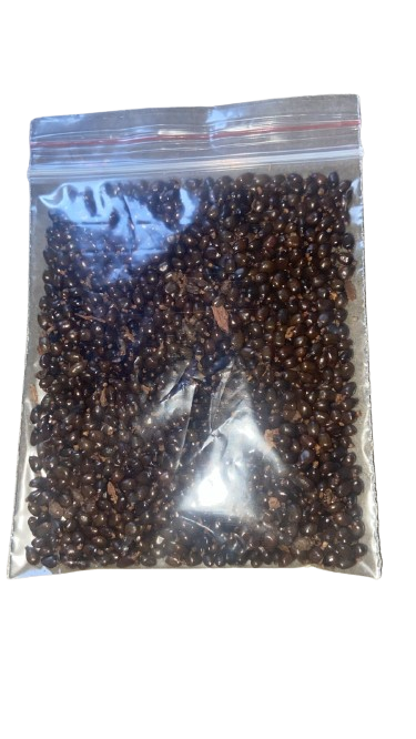 Orima Seeds, Ataiko Seed Purelyagro - Orioma Banga Spice  25g